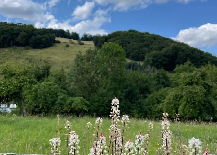 Lejlighed Schmidt Brilon